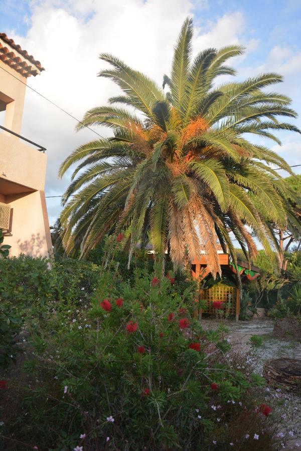 Rose De Sel Apartment Hyères Exterior foto