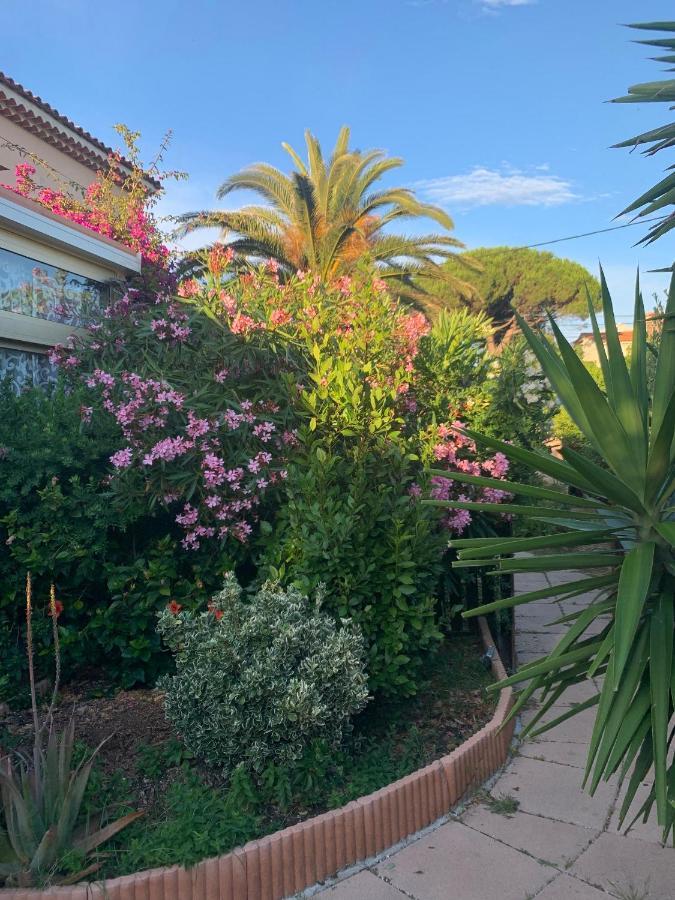 Rose De Sel Apartment Hyères Exterior foto